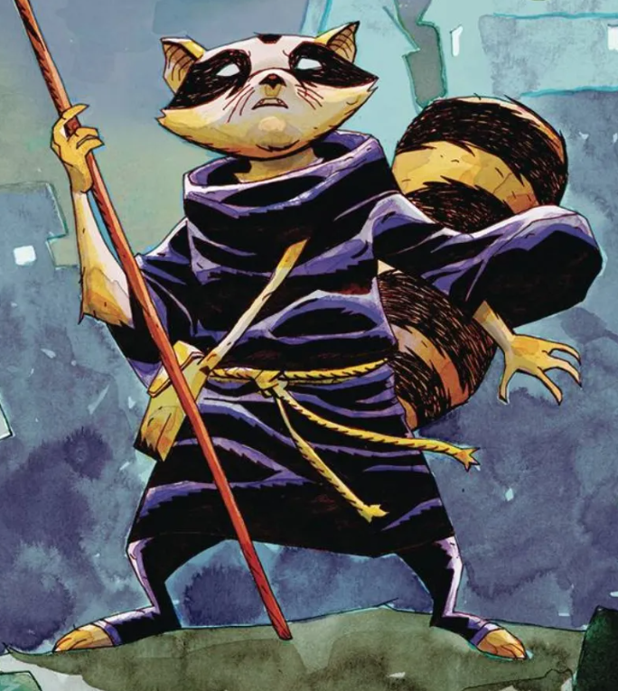 Illustration of an anthropomorphic raccoon wearing a dark blue robe tied with a yellow rope, holding a staff. The raccoon stands confidently with an assertive stance against a backdrop of abstract shapes and cool colors.